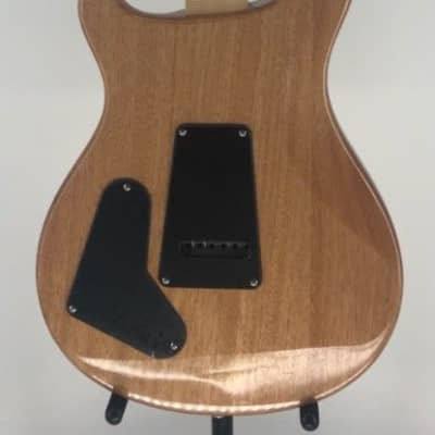 Paul Reed Smith PRS SE Custom 22 Semi Hollow Body Electric Guitar Ser# D07220 image 6