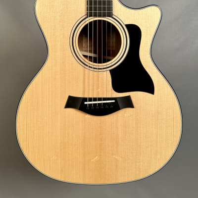 Taylor 314ce with V-Class Bracing