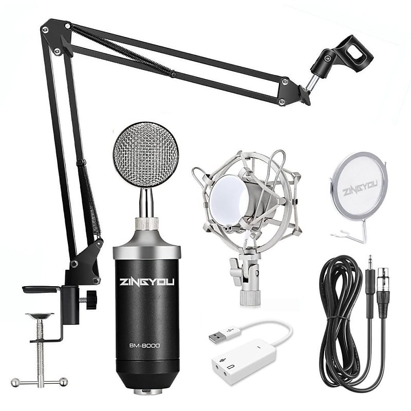 Studio Recording Condenser Microphone Set Professional XLR Condenser Mic w Accessories image 1