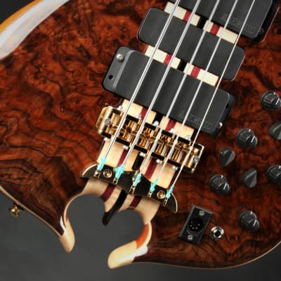 Alembic Series II - Walnut | Reverb