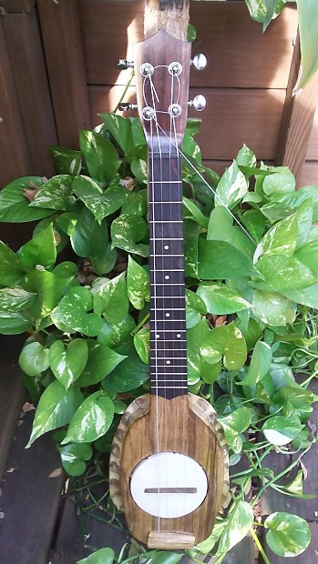 Turtle shop shell banjo