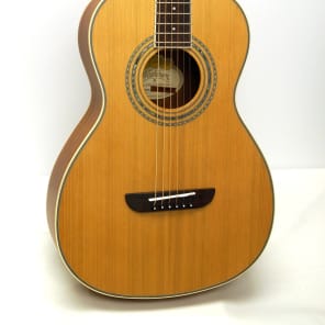 Washburn WP11SNS （管理サヒ） Washburn WP11SNS （管理サヒ） - メルカリ