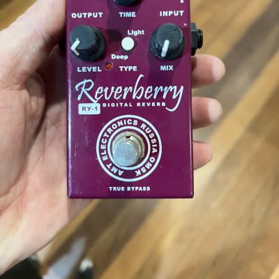 AMT Electronics RY-1 REVERBERRY 2000's for sale