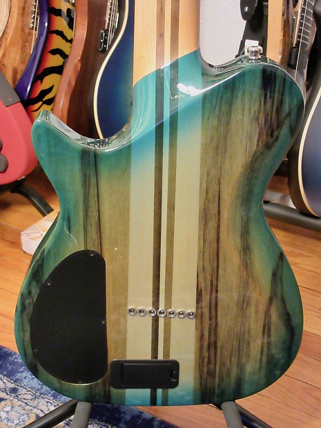 Kiesel SCB7 Single Cutaway Bevel Top 7 String | Reverb