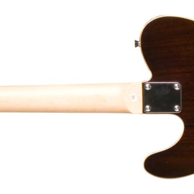 Jay Turser JT-LT-RW LT Series Single Cutaway Bound Body Maple Neck 6-String Electric Guitar image 5