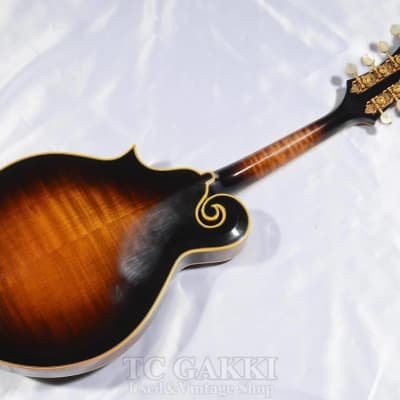 Gibson 1981 F 5L image 11
