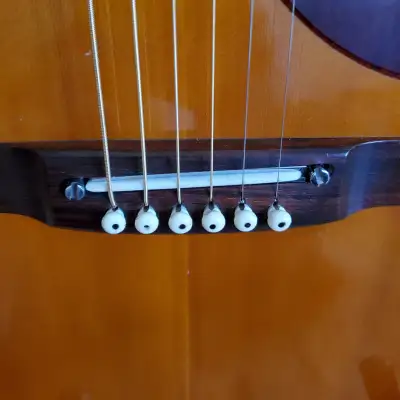Takamine Elite HM-150 Acoustic Guitar image 7