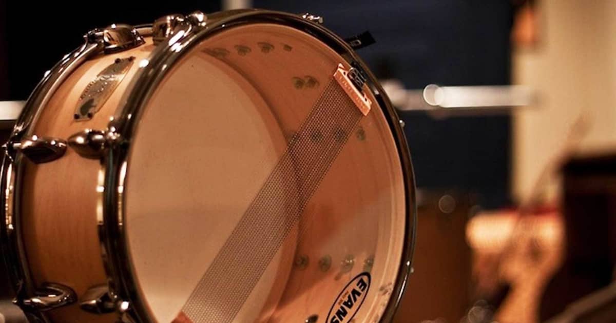 Reverb's Top Five Signature Snare Drums Reverb News