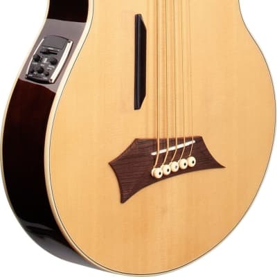 Warwick RockBass Alien Deluxe Hybrid Thinline 5-String Acoustic-Electric Bass Guitar, Spruce Top, Natural Transparent Satin image 2