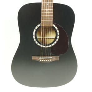 【ラッピング無料】 CEDAR Lutherie & Art BLACK s77708 Black Guitar Acoustic EQ ギター