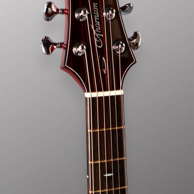 CP Thornton Guitars Professional 2023 - Darkburst w/ 5A Flame Maple Top. NEW (Authorized Dealer) image 12