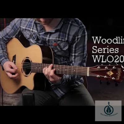 Washburn Woodline 20 Series WLO20SCE-O Orchestra Cutaway w/ Solid Spruce Top, Rosewood Back & Sides image 5