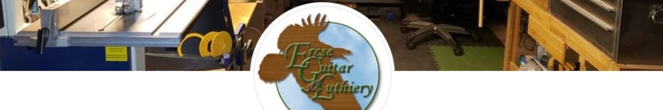 Ercse Guitar & Luthiery