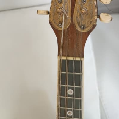Bruno Klemm. Mandolina. Year 1890 Mandolin. image 2