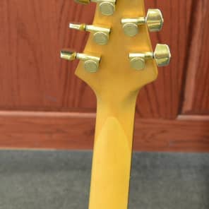 Alvarez Custom Classic 6-String Electric Guitar with Hardshell Case image 8