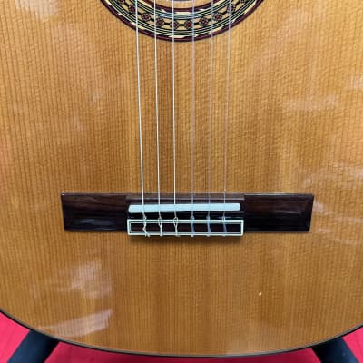 Salvador Ibanez GA60SCE-14-02 Acoustic Classical Electric Guitar with Case image 8