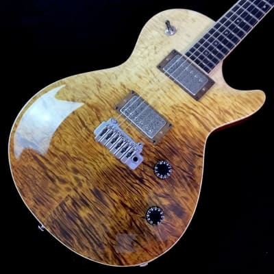 T's Guitars Arc-Singlecut Tochi Lux 2023 image 1