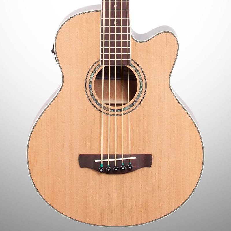 Ibanez AEB105E Acoustic-Electric Bass, 5-String image 1