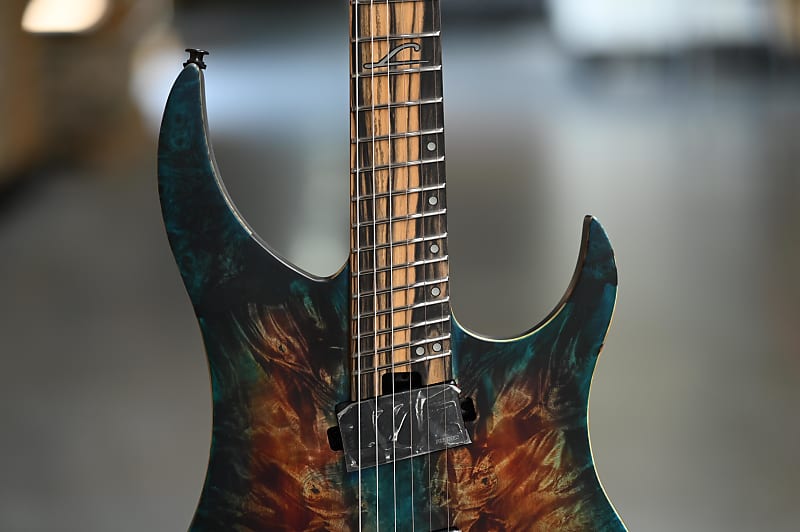 ギター Legator Ghost G6FX-BM G6FSS – Legator Guitars US