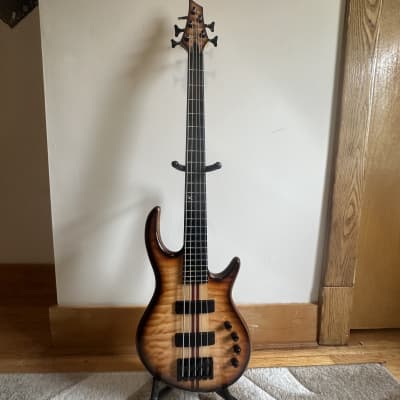 FIRE SALE! Kiesel Icon 5 String Bass Trans Autumn Burst for sale