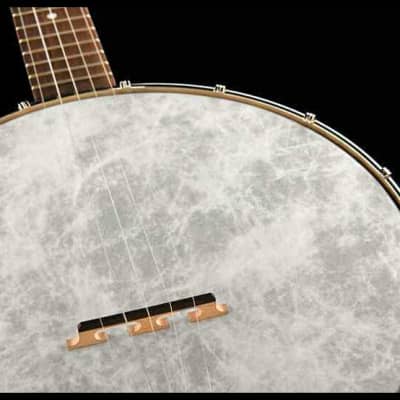 Recording King RKOH-05 Open Back 5-String Banjo. New, with Full Warranty! image 2