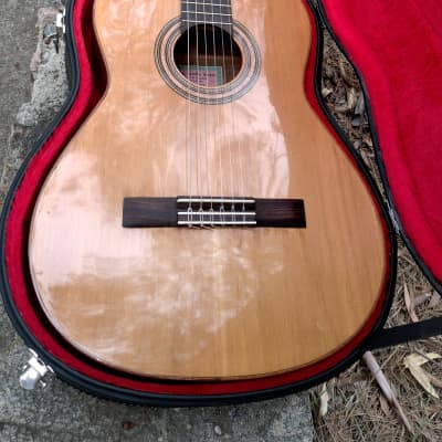Ricardo Sanchis Carpio Classical guitar image 1