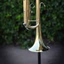 Bach - TR300H2 Student Bb Trumpet