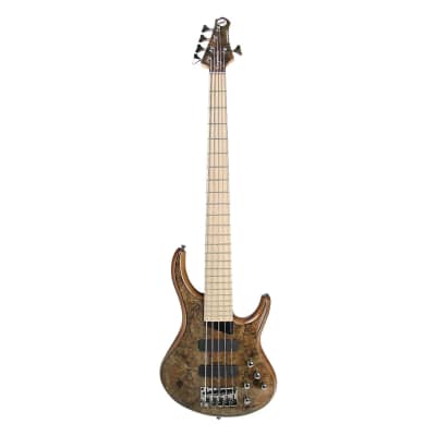 MTD Kingston ZX5 5-String Bass Guitar w/Maple FB - Trans Mocha - Open Box image 2