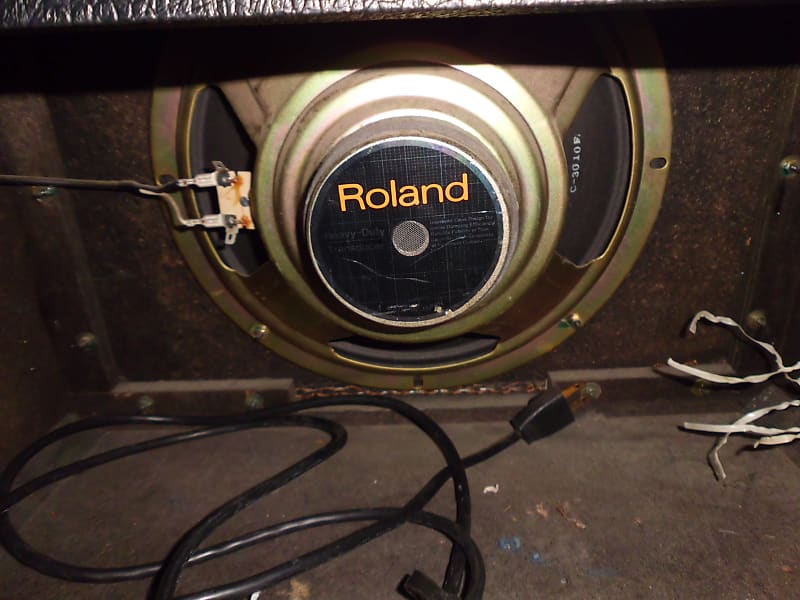 Roland Bolt 30 Vintage Tube Amplifier | Reverb