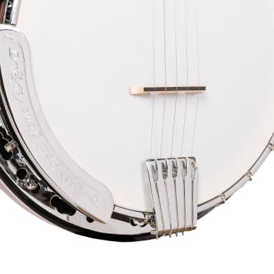 Gold Tone BG-150F: Bluegrass Banjo with Flange and Bag image 3