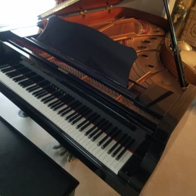 Yamaha C7 Concert Grand C7 1995 Black/Glossy image 3