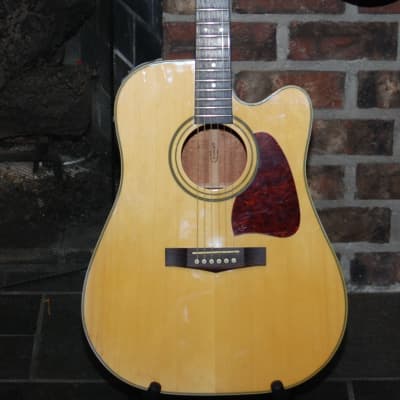 Ibanez AW-10 CE | Reverb