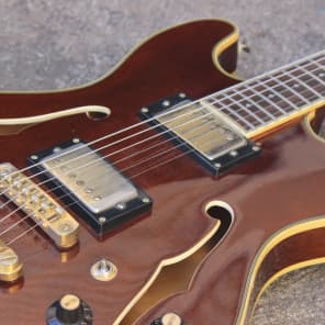 1991 Aria Pro II TA-550 335 Style Hollowbody (Walnut) MIJ