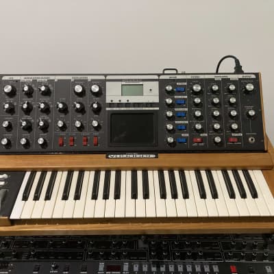 Moog Minimoog Voyager - Traditional Wood Cabinet