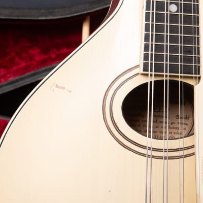 Gibson Mandoline A3 1919 - Ivory image 10