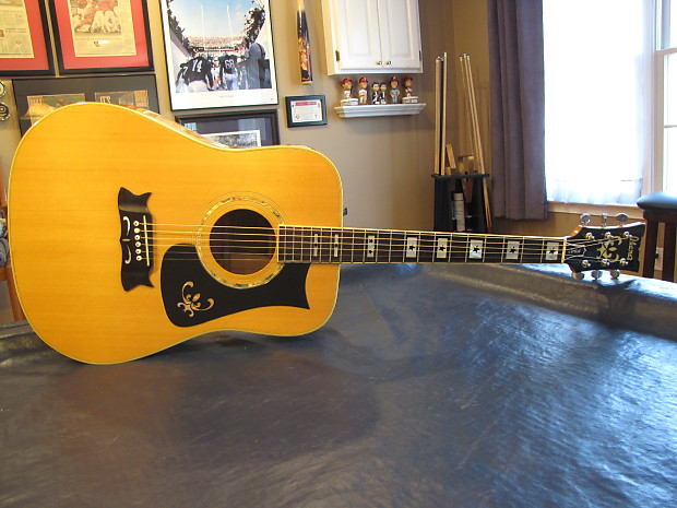 Ibanez shop artist acoustic