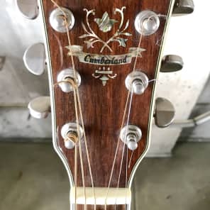 Washburn cumberland j28sce sale