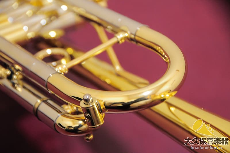 Brasspire Unicorn BPTR-900HNL B♭ Trumpet | Reverb