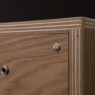 Baja Electrics Guitar Cabinet 6" + Eminence Alpha 6C (Poplar/Oak) image 7