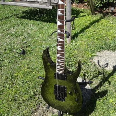 Ibanez  RGR320EX Arctic Frost 2007 Limited Edition. image 22