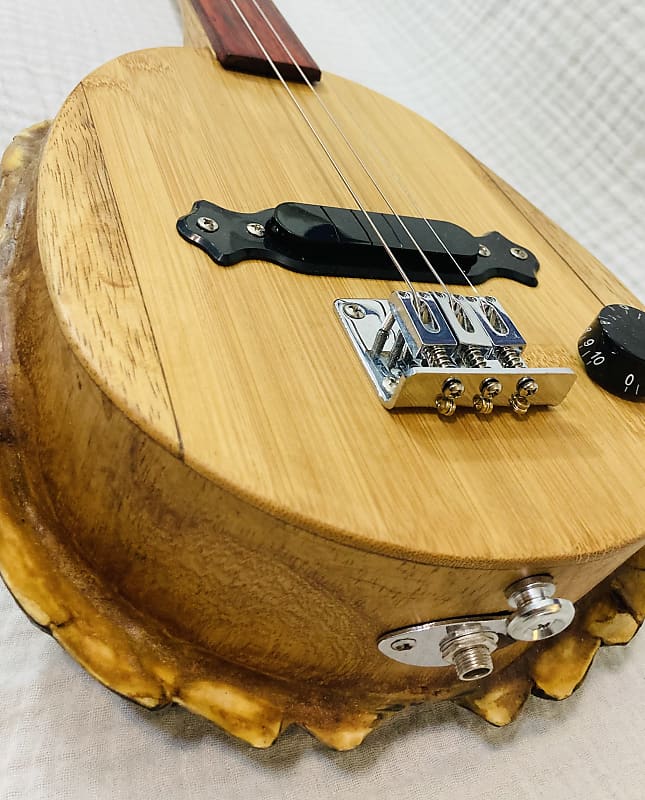 Turtle shell 3 string fretless slide guitar Reverb