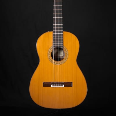 Esteve 7SR Handmade Classical Guitar image 1