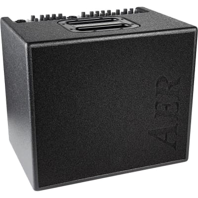 AER Domino 3 Acoustic Guitar Amp 2 x 8