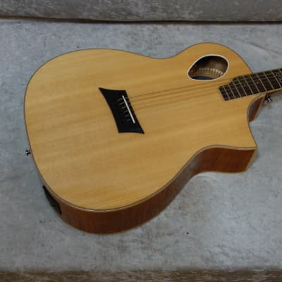 Michael Kelly MKTPE acoustic electric guitar for sale