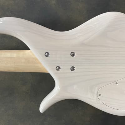 F Bass BN5 Trans White with Bloodwood Binding image 5