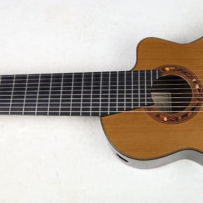 RARE Lucio Nuñez 10-String Classical Harp Guitar w/Cutaway, Arm Rest, Sound Port, Cedar/Cocobolo, TKL Hardshell Case image 3
