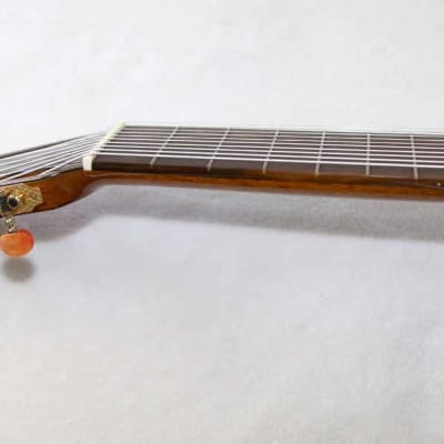 Bartolex SLC10CEL Classical 10-String Harp Guitar, w/Pickup, Cutaway, Sound Port, w/Softshell Case image 6