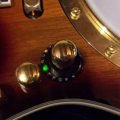 Gold Tone EBM-5 Electric Solid Body Maple Neck Mahogany Top 5-String Banjo w/Hard Case image 5