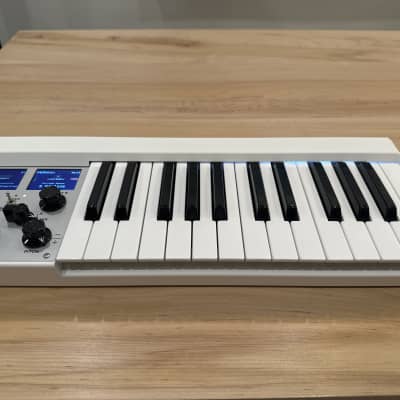 Mellotron M4000D Micro Keyboard | Reverb Canada