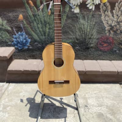 Ortega Student Series RST5 Acoustic Guitar image 2